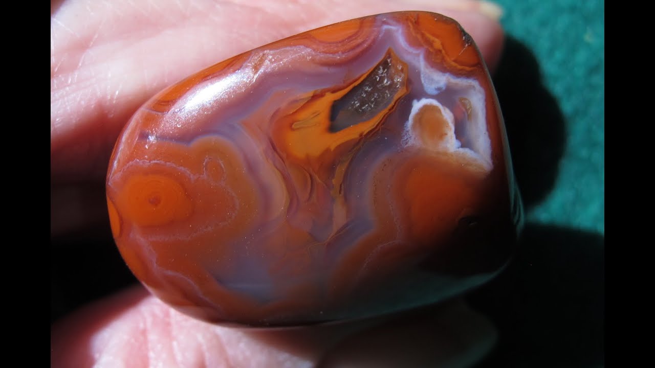 Yellow Cat Flats Petrified Wood Specimens from Utah