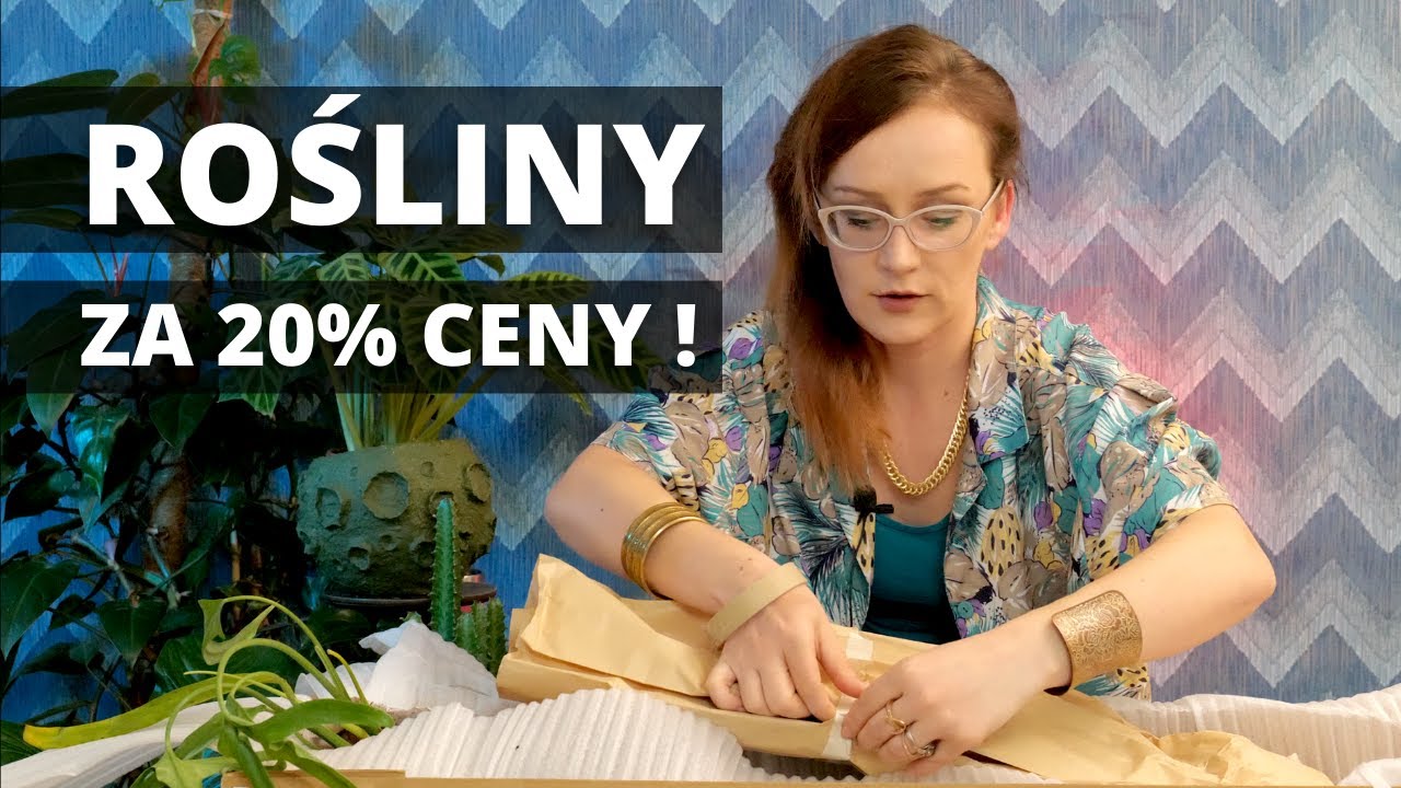 Rośliny kolekcjonerskie za 20% ceny! Jak tanio kupiłam rośliny do domowej kolekcji