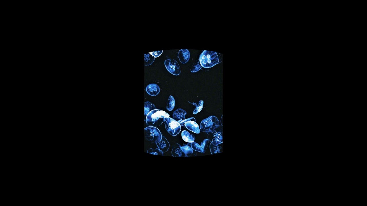 [FREE] Népal Type Beat - Aquarium