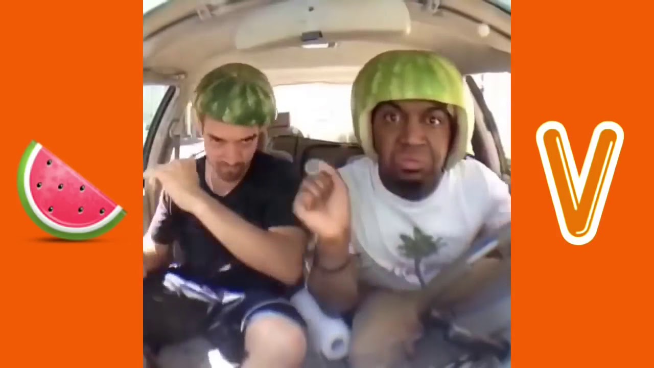 MarlonWebb all Watermelon vines 2015!