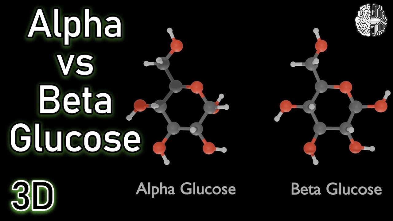 Alpha vs Beta Glucose (3D animation)