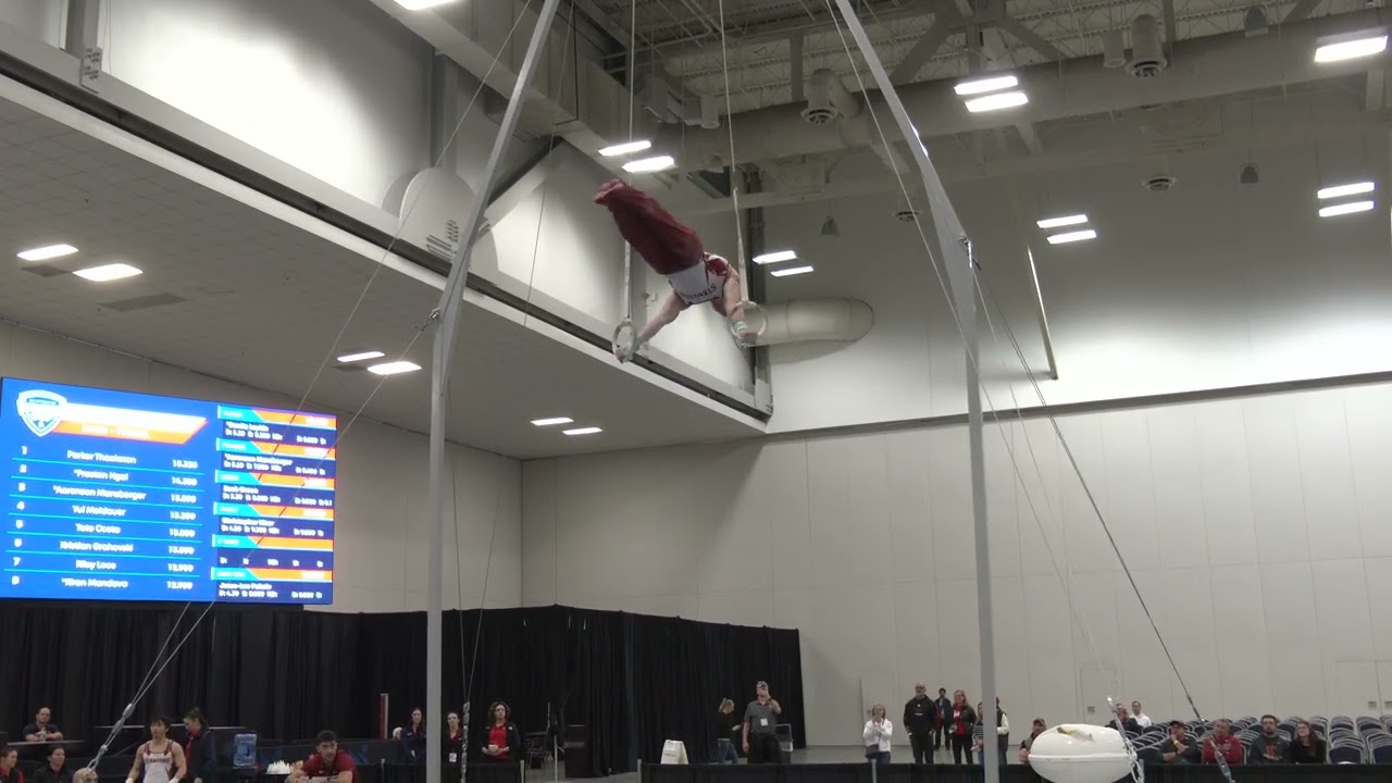 Riley Loos | Still Rings | 2026 Winter Cup | Senior Men