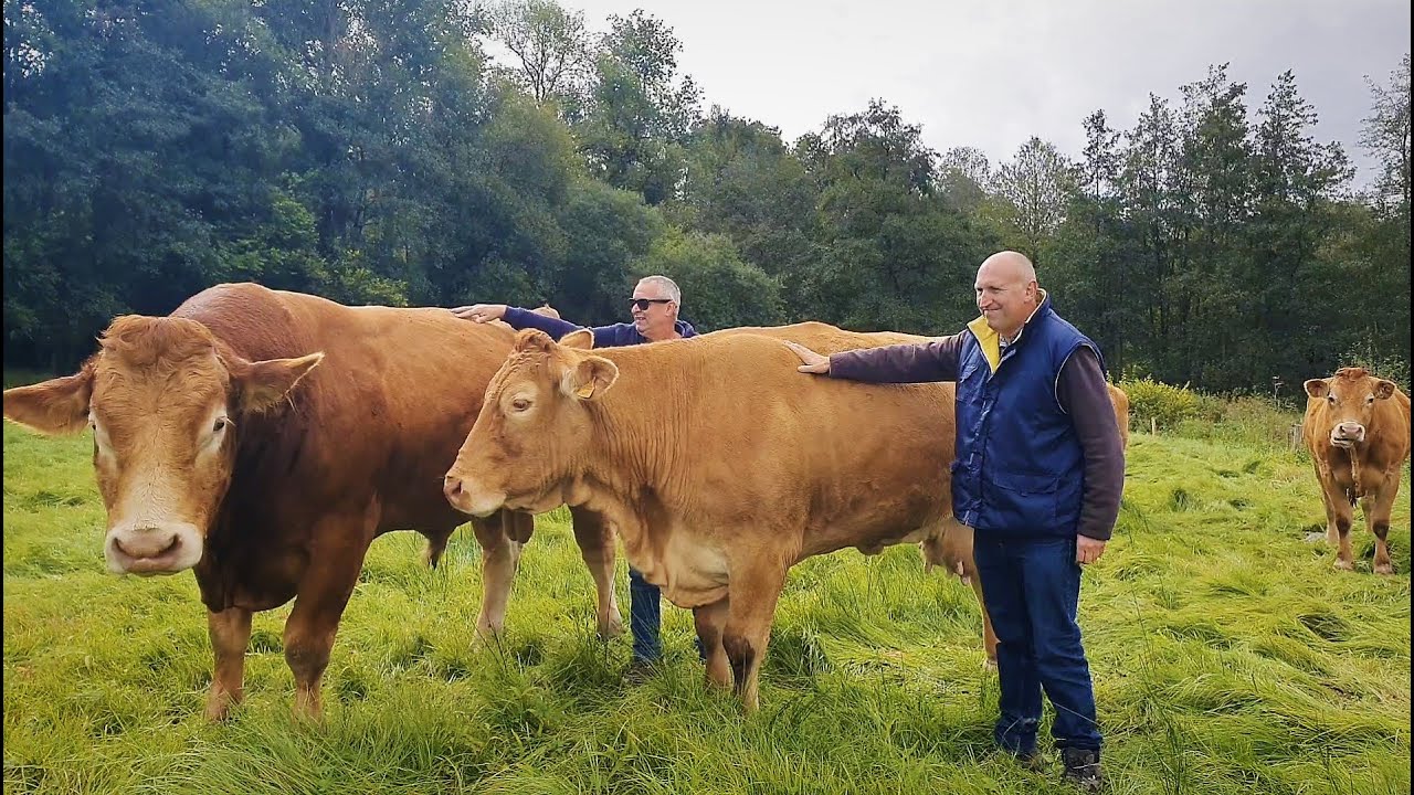 The Limousin'Tour'21: Etienne Warzée et Philippe Westhovens à Hamois.