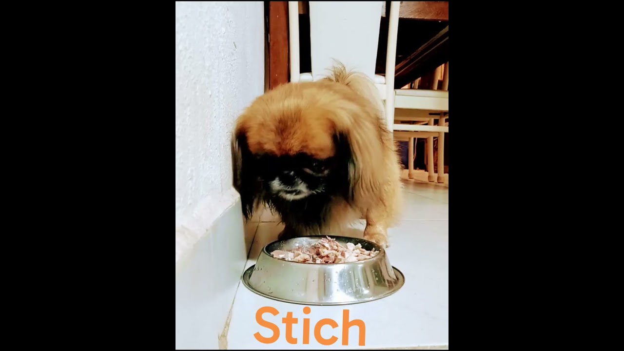 Creés que se lo terminé de comer todo.?