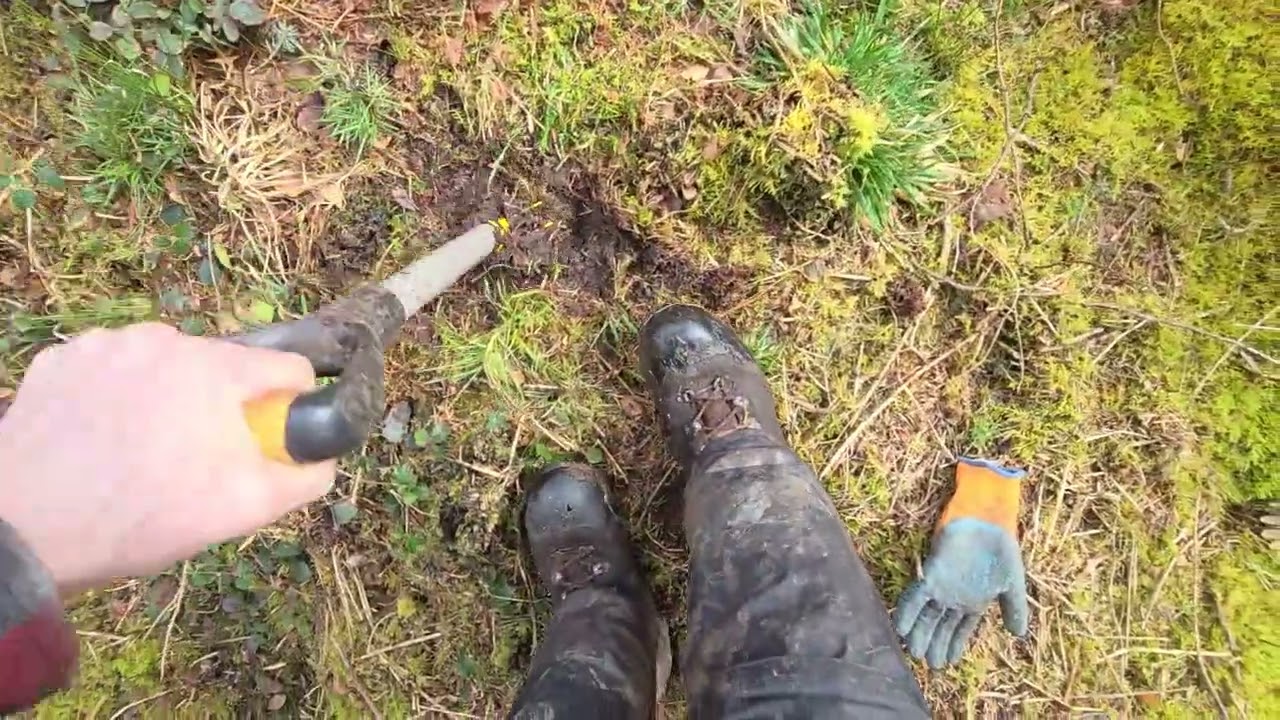2 Slot tree planting technique with cell grown tree saplings