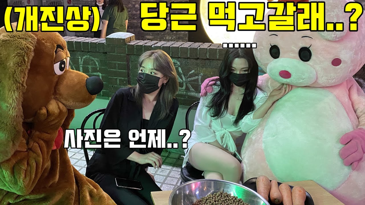 [몰카]인형탈쓰고 사진 찍어주는척 헌팅을 한다면? ㅋㅋ흑심 고 자체ㅋㅋ