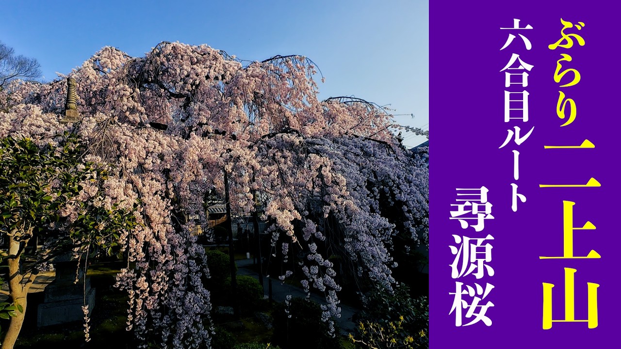 【二上山】上ノ池横登山口より六合目ルートで登りました！（2026年3月）