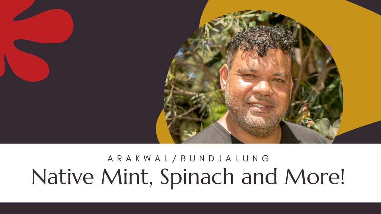 Traditional Aboriginal Use of Native Plants