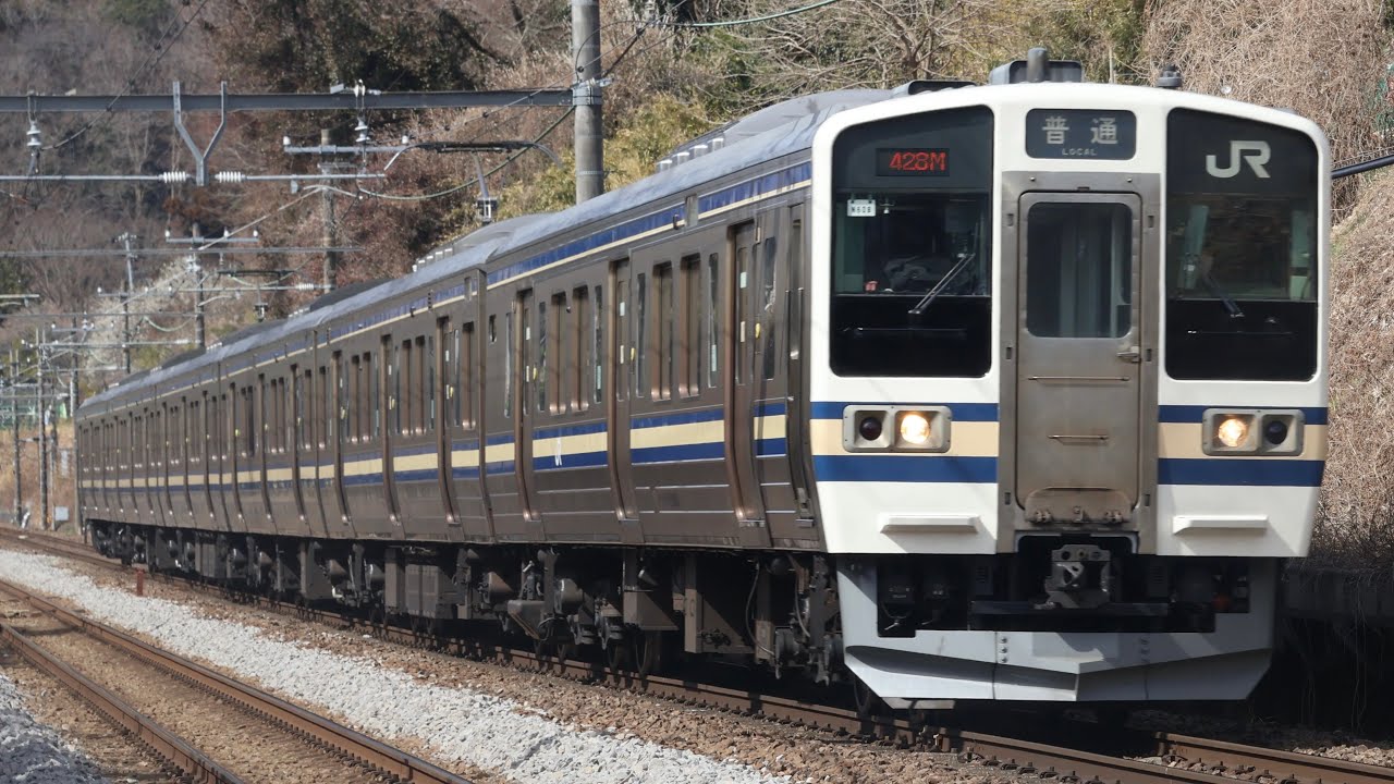 211系ナノN608編成 横須賀色 普通高尾行き