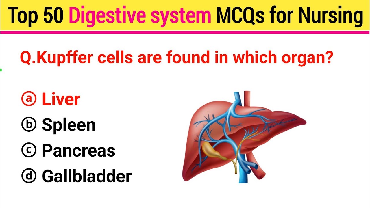 Digestive system mcqs for bsc nursing | Digestion mcqs for PGIMER | NCLEX nursing mcq | AIIMS MCQS