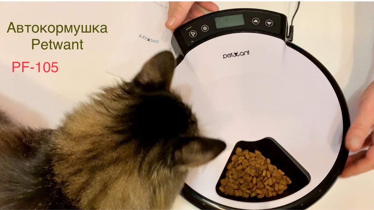 АВТОКОРМУШКА ДЛЯ КОШЕК И СОБАК # Automatic cat and dog feeder.