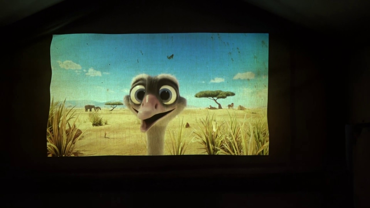 struisvogel video in Dierenwereld van fabula
