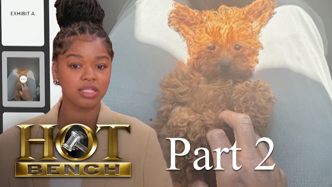 A Tiny Pup’s Ruff End | Part 2