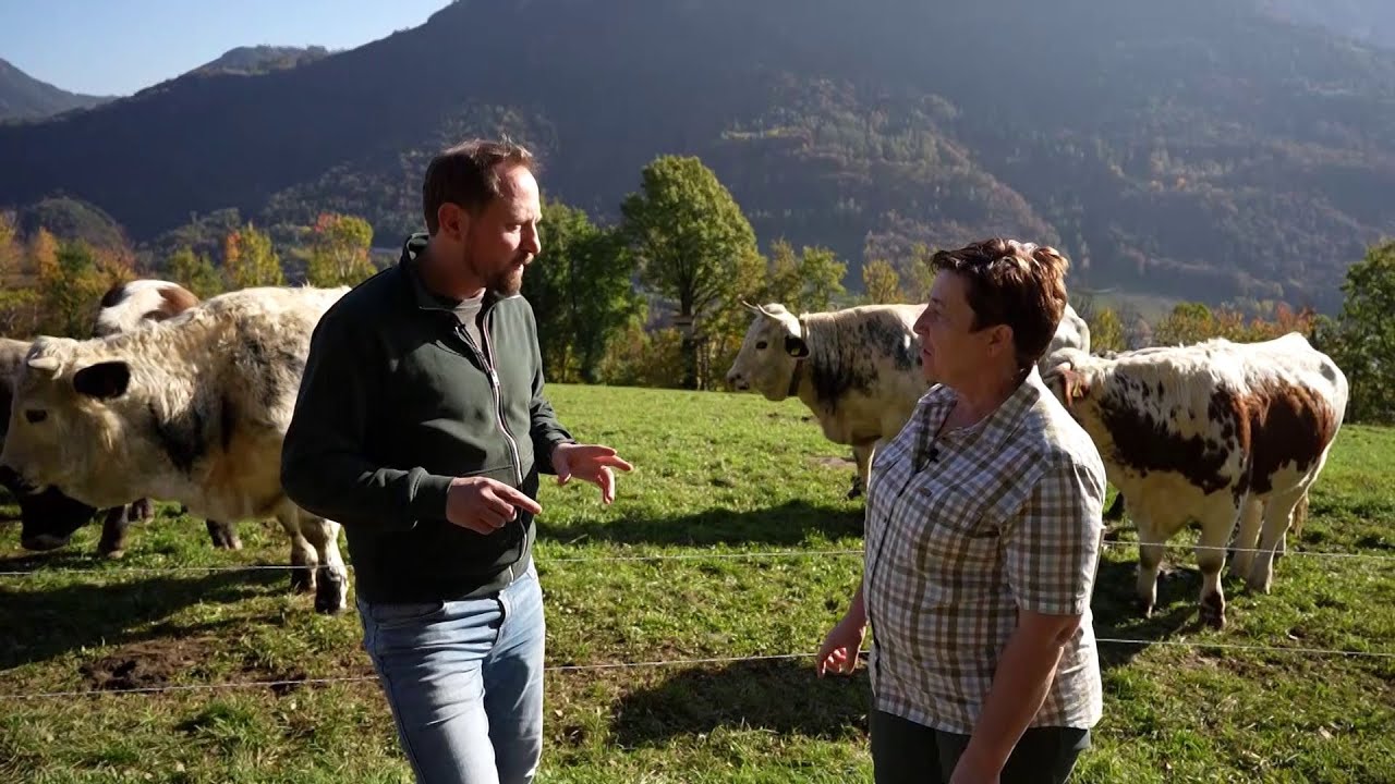 Pfote “Alte Tierrassen auf dem Stimpflhof“