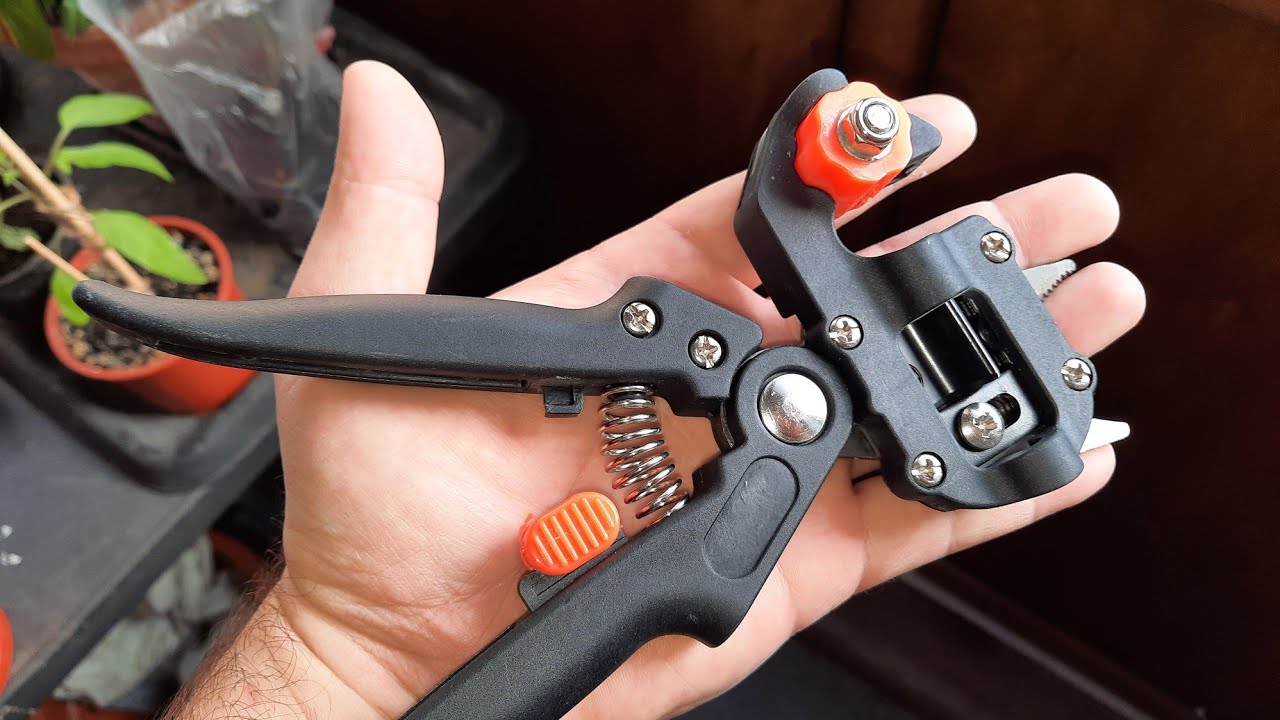 Fák oltása - oltó olló avagy oltó fogó - véleményem