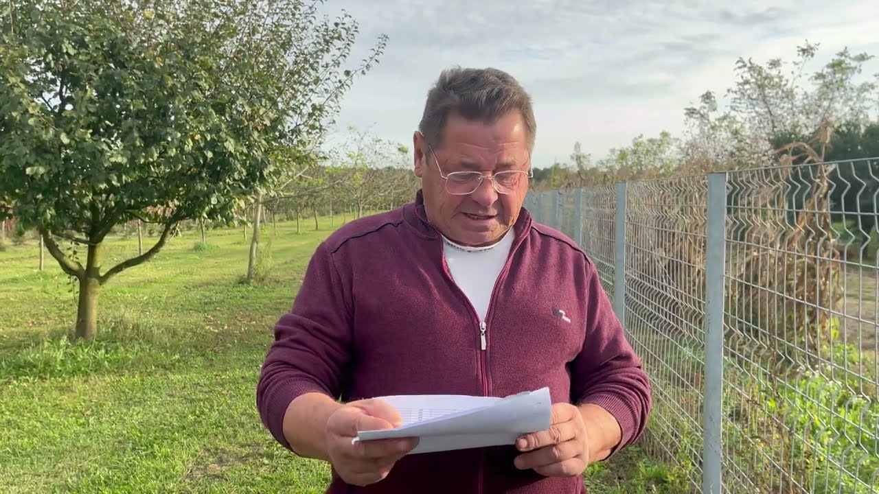 Milyen szőlőt érdemes elültetni 2023-ban???/ Új telek betelepítése. Mivel és hogyan?