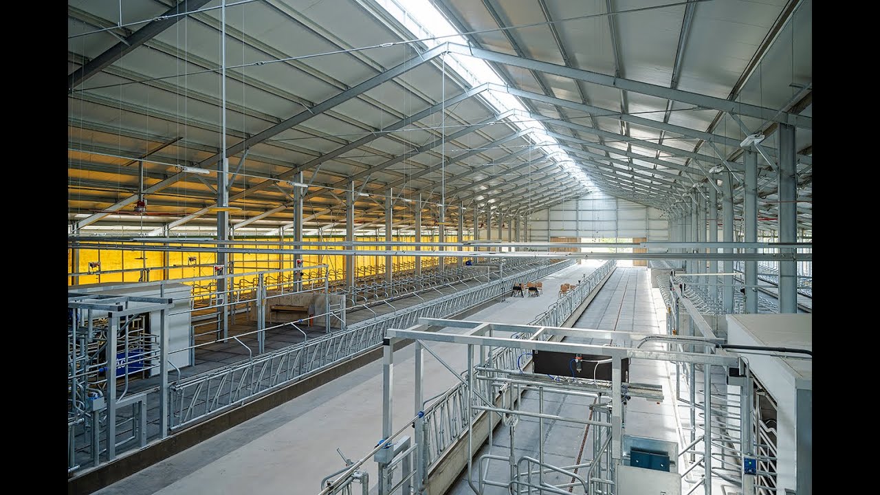 MMG - Robotizált szarvasmarhatelep és precíziós növénytermesztés Mezőhegyesen