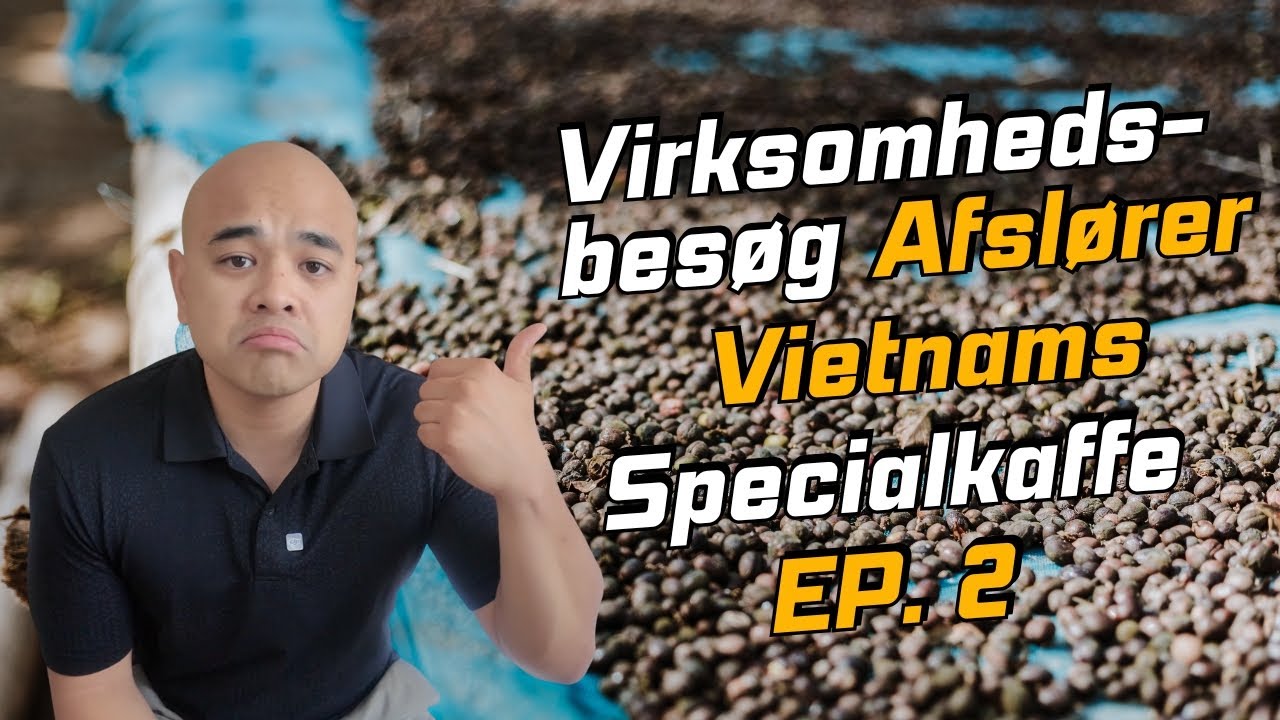 Virksomhedsbesøg Afslører Vietnams Specialkaffe | #KaffeFraVietnamTilDanmark Ep. 2