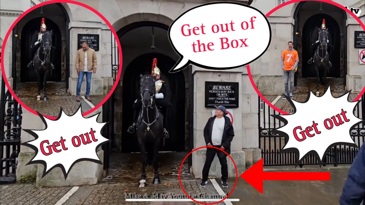GET OUT OF THE BOX… MOUNTED GUARD REACTS TO THESE SILLY TOURISTS WHO IGNORED THE SIGNS!