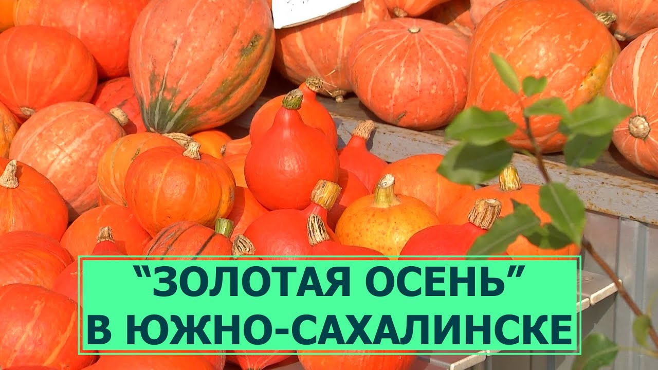 В Южно-Сахалинске провели ярмарку 