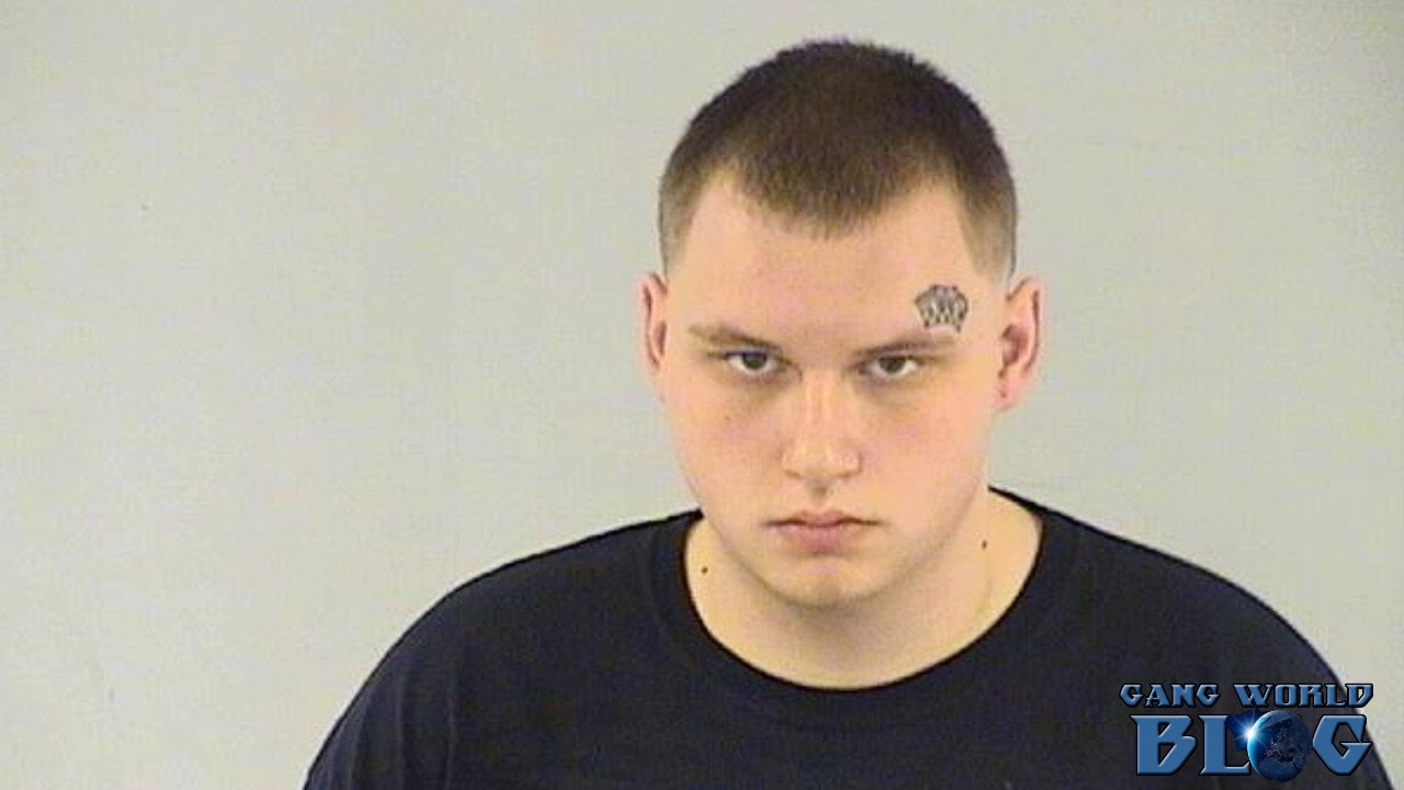 Gang member wanted for battery arrested in Round Lake Park