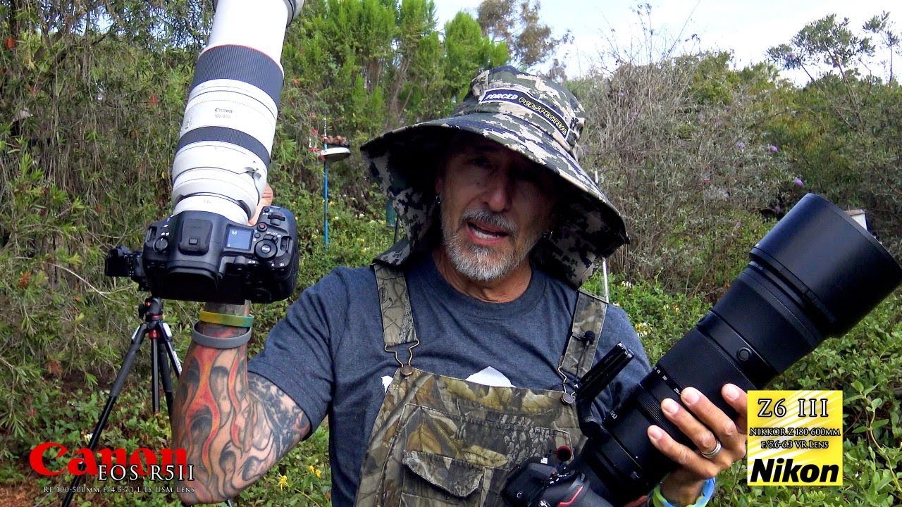 Canon R5ii and Nikon Z6iii shooting hummingbirds