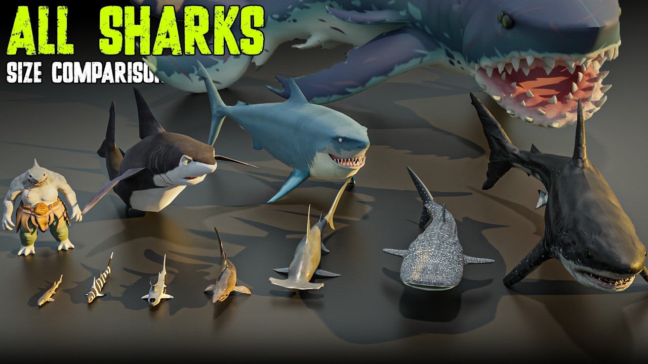 Shark Size Comparison – Real, Extinct & Fictional Sharks