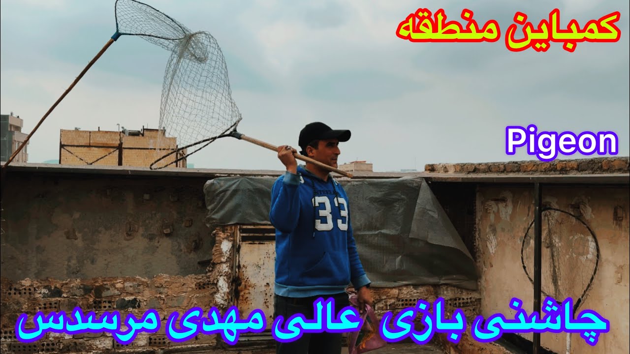 پرش وچاشنی بازی کبوتران آلمانی/پرش عالی کبوتران مهدی مرسدس در مشهد/تلفات ۴۰عددی کبوتران آلمانی