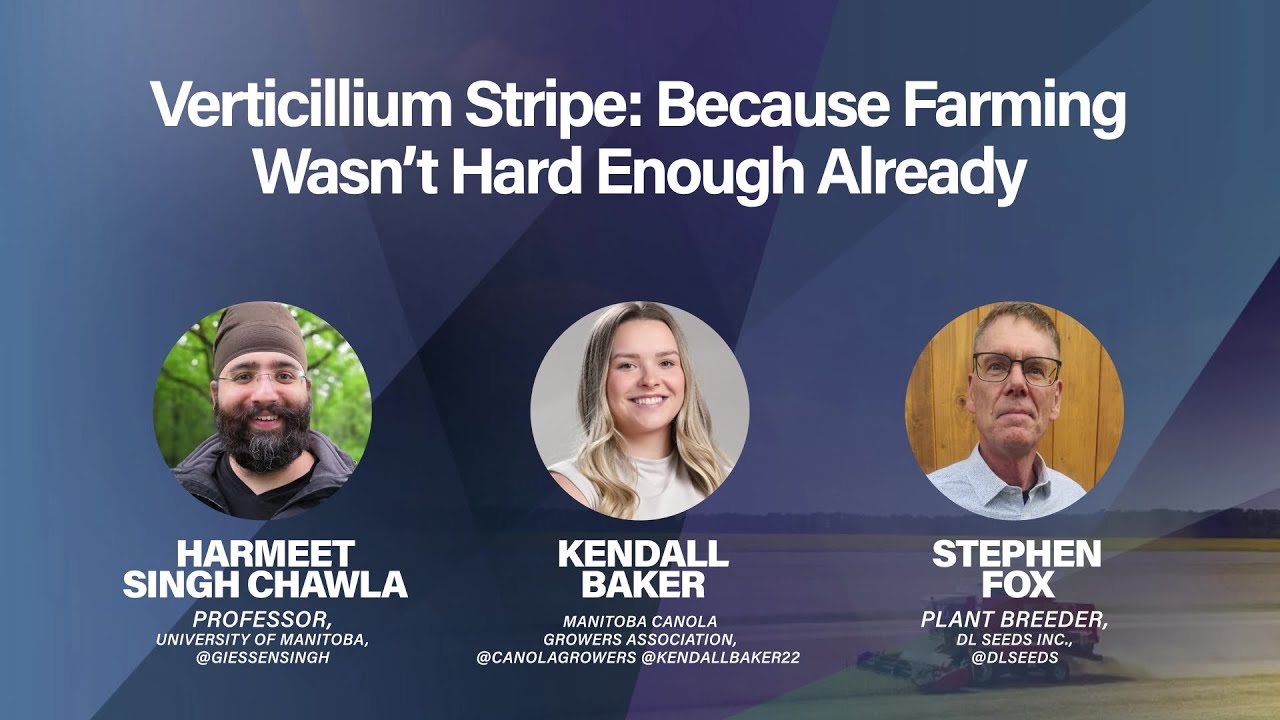 Verticillium Stripe: Because Farming Wasn’t Hard Enough Already