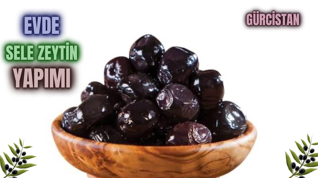 Siyah Sele Zeytini Nasıl Yapılır? How to Make Black Saddle Olives? #budama #zeytinbudama #erenvural