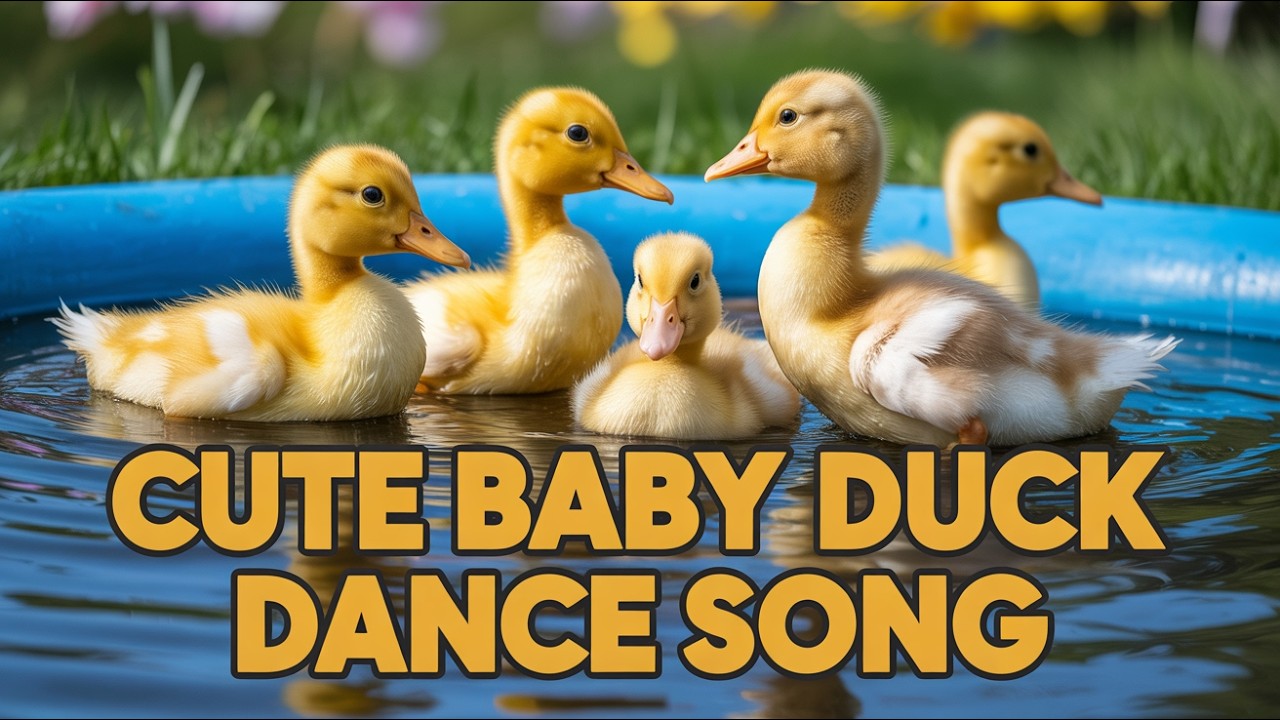 Happy Duck Song for Toddlers English Fun Sing Along