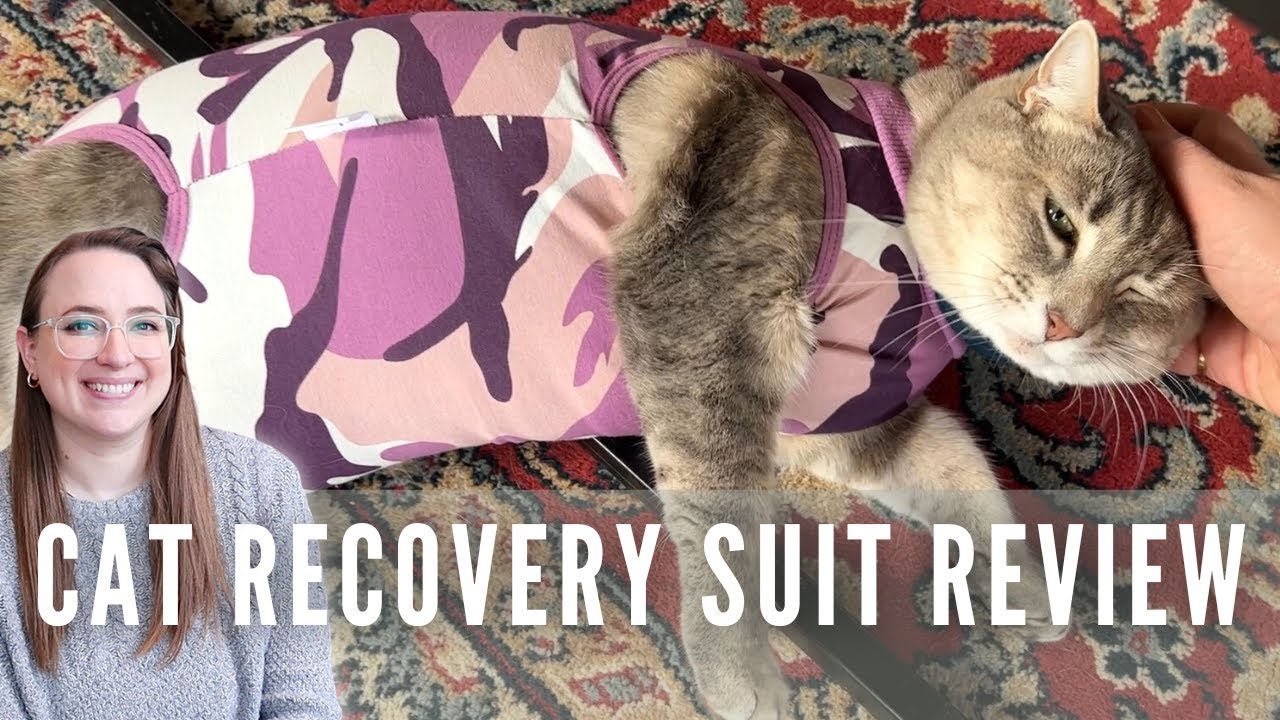 🐱Cat Recovery Suit After Surgery: The Ultimate E-Collar Alternative!🐾