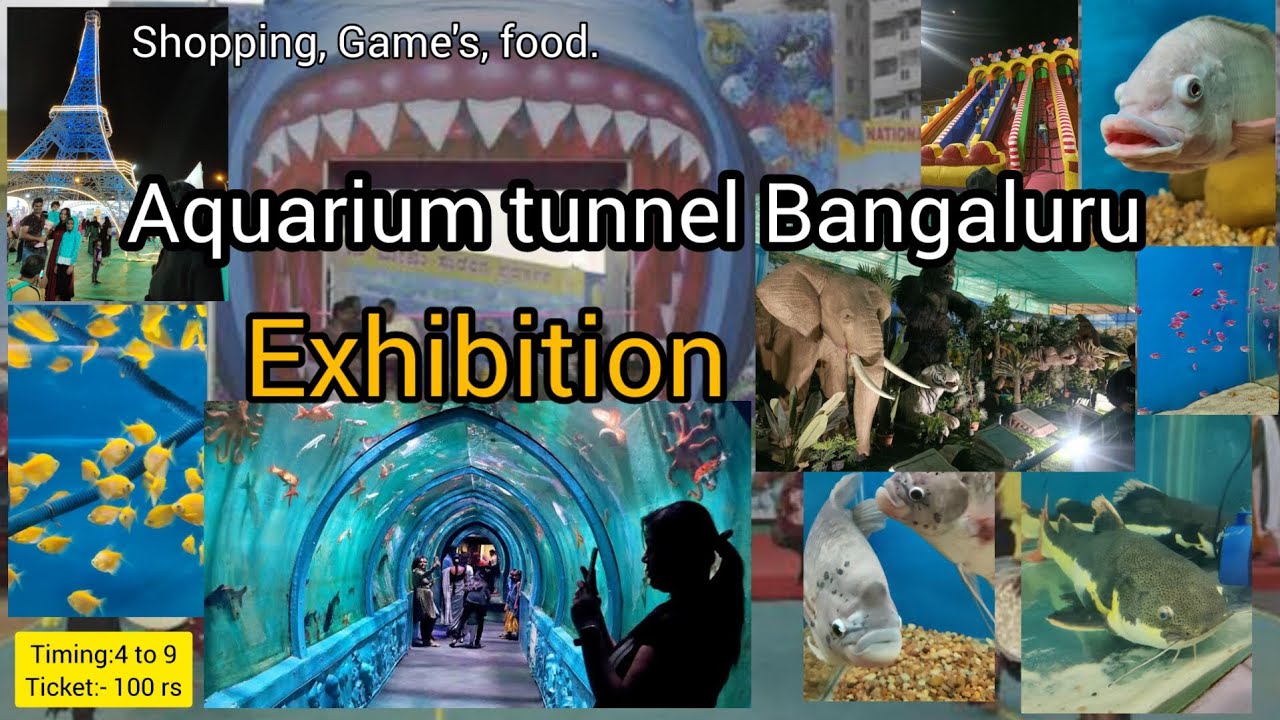 Under water big Aquarium tunnelin Bangaluru|kengeri Bus stand terminal metro station near|full video