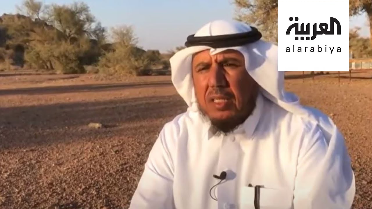 نشرة الرابعة | العسل الحائلي.. قصة مناحل يحكيها العارفون بجودته
