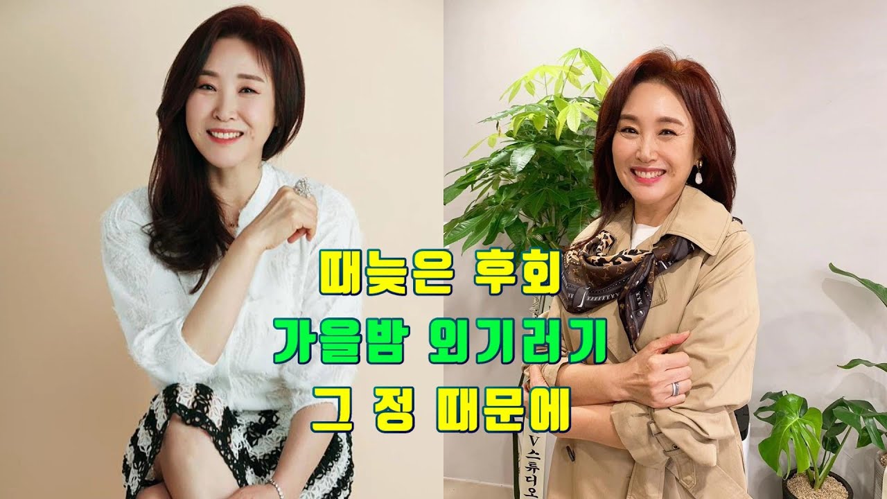 주현미 초창기 노래 3곡 모음 ( 때늦은 후회, 가을밤 외기러기, 그 정 때문에 )