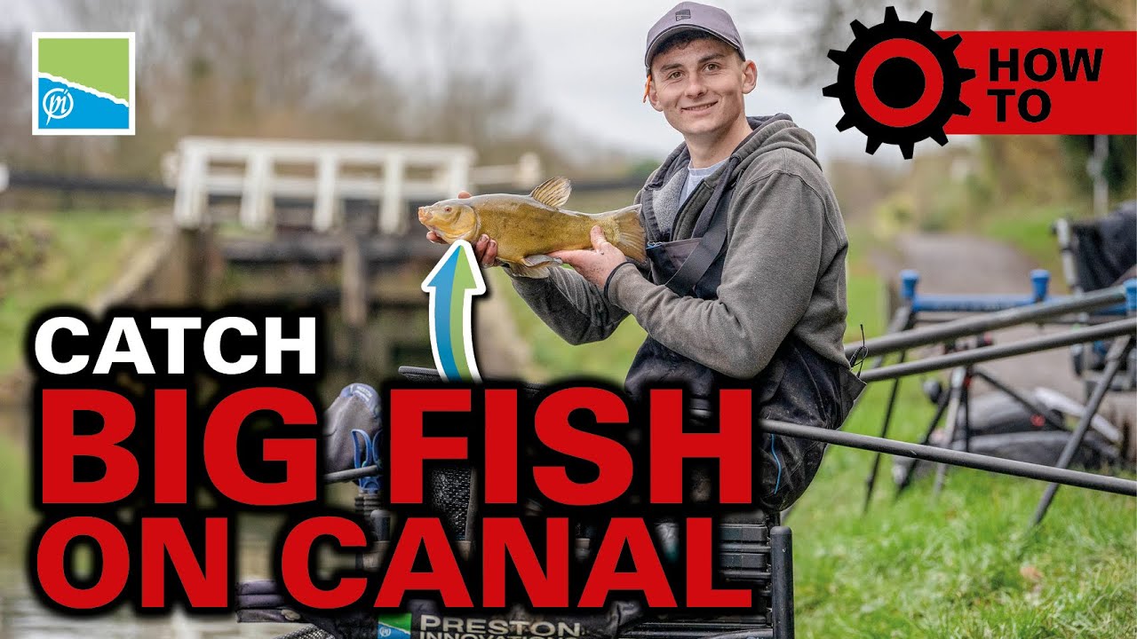 How To Catch BIG Fish On The Canal