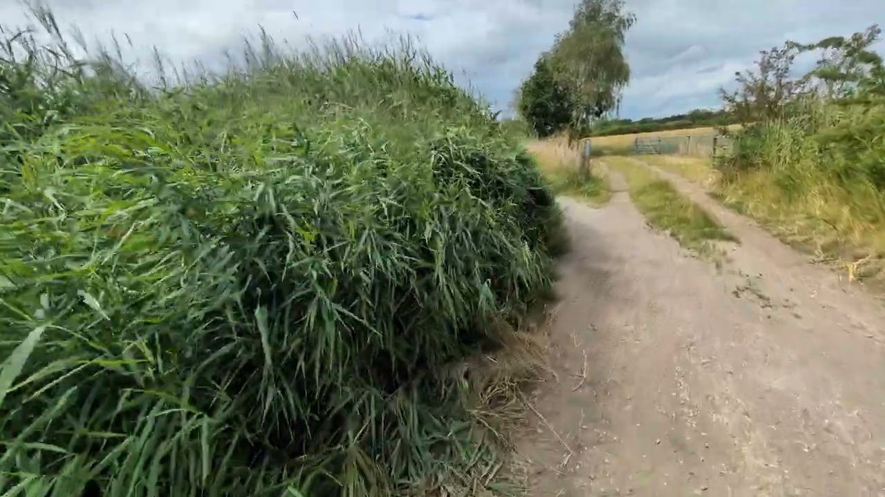 4K/60FPS 🚶The Harp Inn to Station Rd CP in Neston Wirral 🚶Mon 28 July 2025 🚶