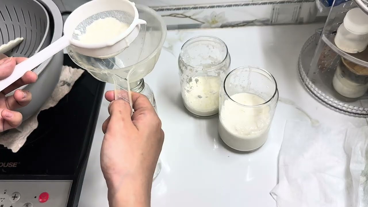 Thu hoạch sữa chua Kefir #suachuakefir #suckhoe