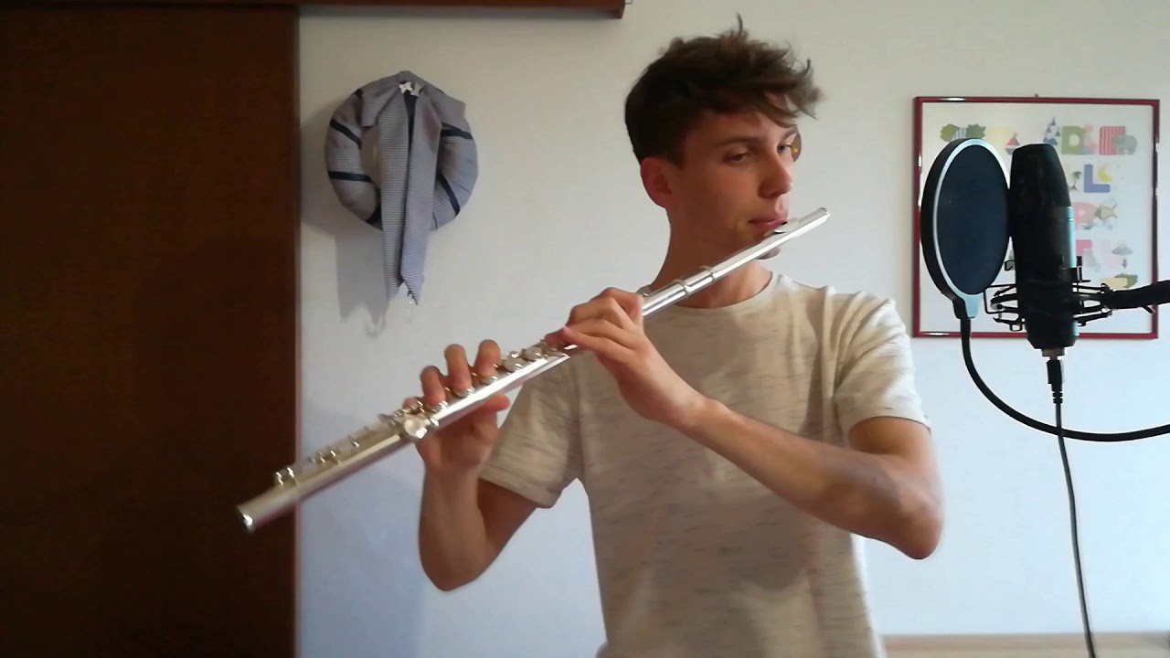 Sweet but psycho FLUTE cover