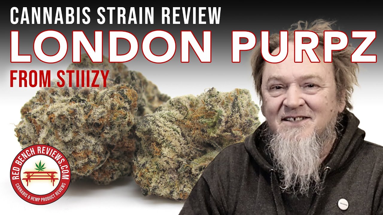 Обзор штамма London Purpz &ndash; бренд Stiiizy