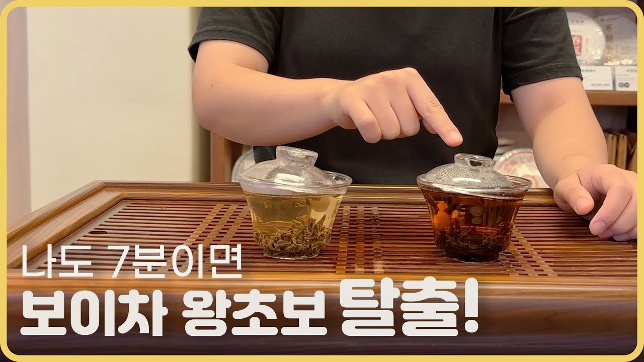 ✔ 나도 7분이면 보이차 왕초보 탈출!🥸ㅣ보이차 음용법.형태의 차이.생차숙차비교시음