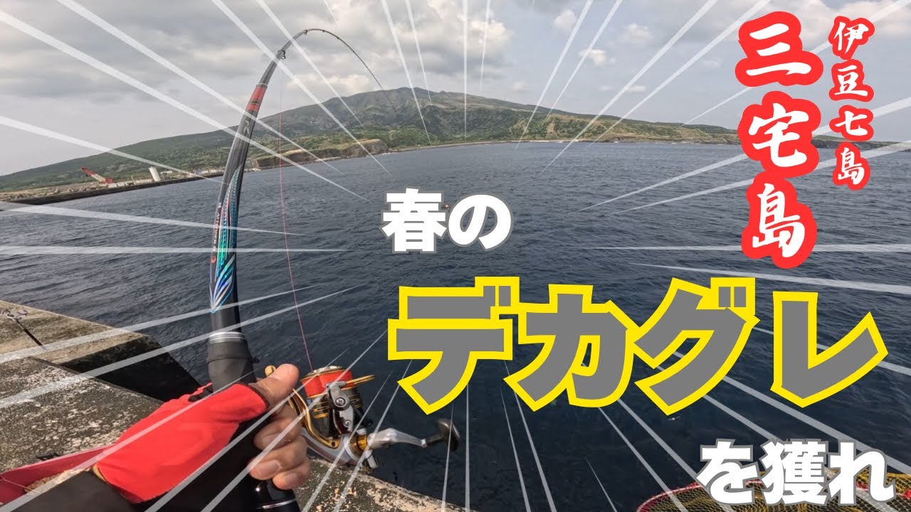 【釣り遠征】グレを求めて三宅島まで行ってきた❗️メジナは釣れていないと情報があったけど、アテンダー3を気持ちよく曲げるナイスグレや、様々なゲストが竿を曲げてくれた‼️