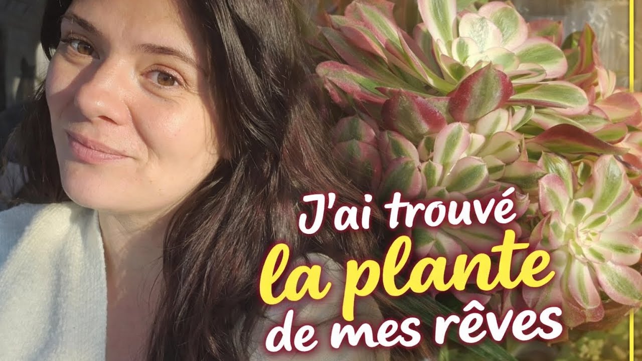 Jadi'Leclerc Aubiere  🌿 des plantes rare &agrave; petits prix !