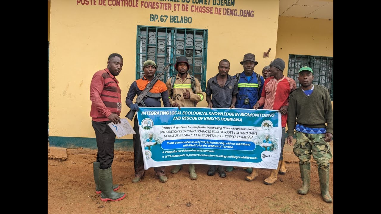 TCF and Rewild FReECo Tortoise Conservation project