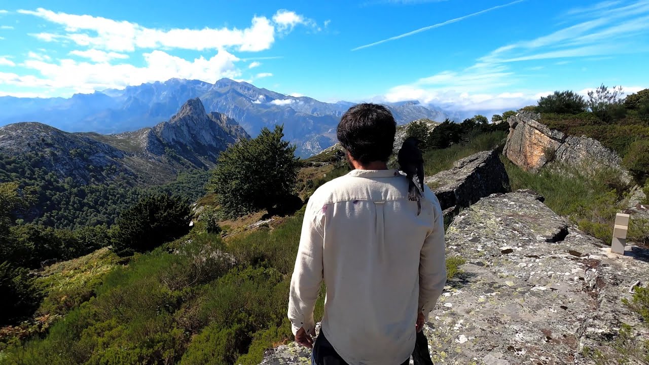 Into the Wild with my jackdaw- (4K)