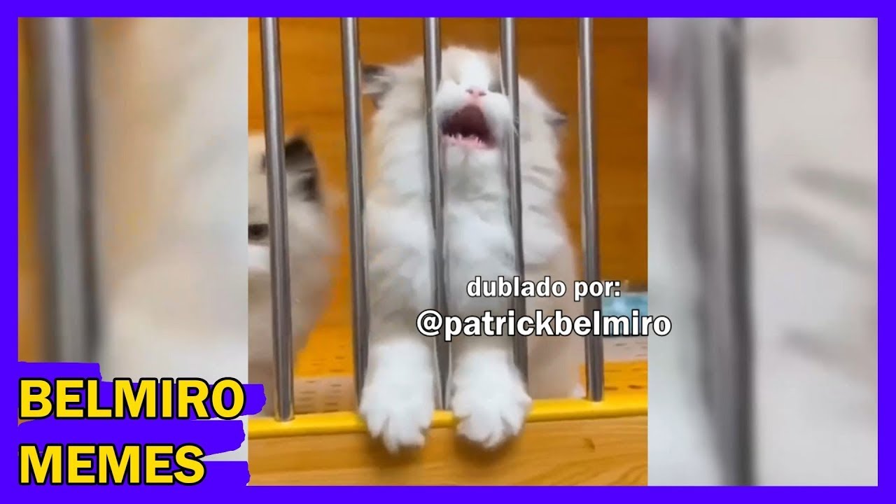 Belmiro Memes: Melhores dublagens engra&ccedil;adas da semana 88