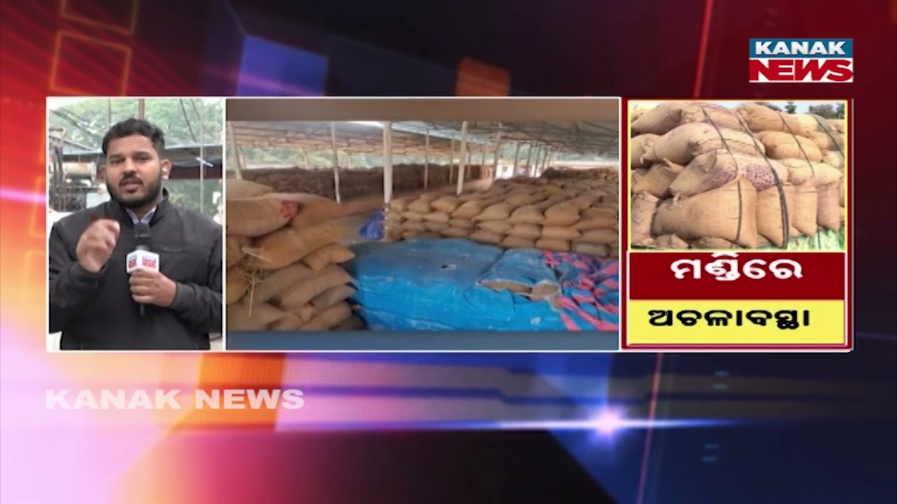 Odisha Paddy Procurement Crisis | Mandi Halted, Millers Refuse Deal | Farmers in Trouble