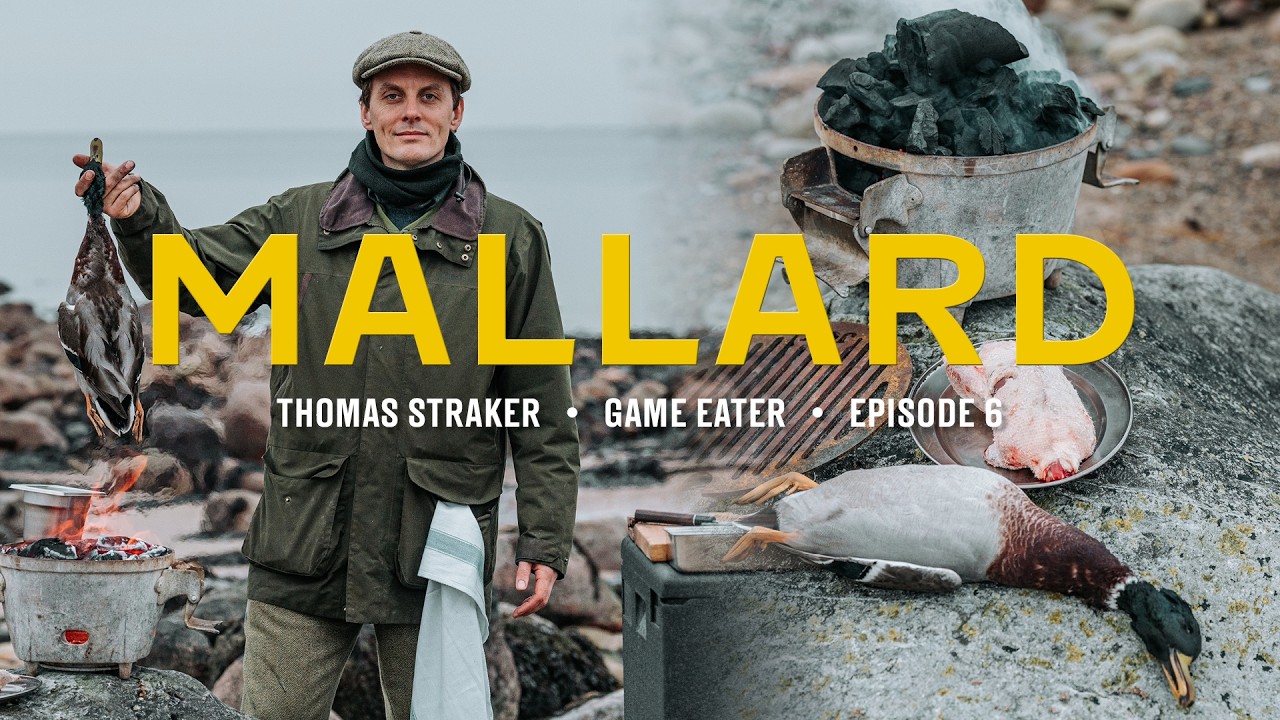 Duck shooting on a Scottish Island | Game Eater