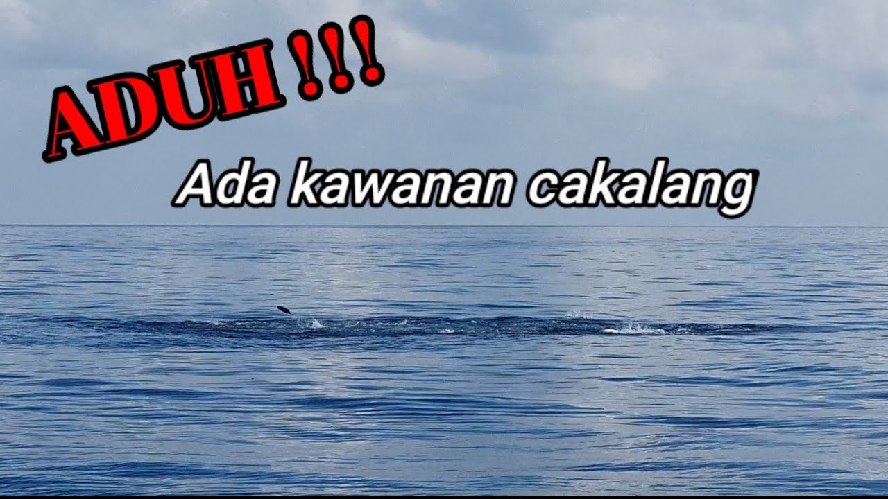 MENGEJUTKAN !! Nelayan Aceh Labuh pukat Tiba2 ada kawanan ikan banyak diluar jaring Pukat