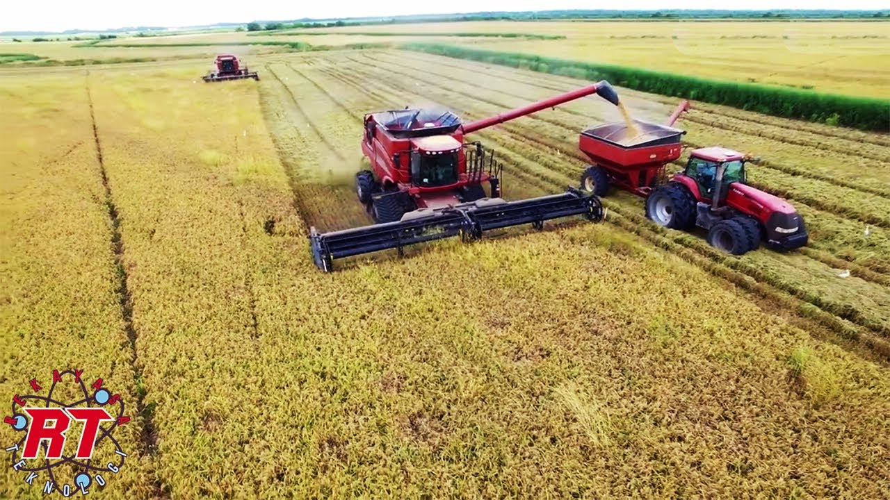 INI YANG BIKIN BERTANI PADI JADI MENYENANGKAN | PERTANIAN PADI MODERN DI AUSTRALIA